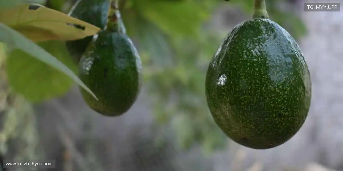 弹幕狂欢，边看边聊！💬 独家解说 + 实时数据，打造沉浸式观赛体验！