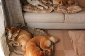 九游官网下载电脑版-赛后教练组给予高度评价称赞球员保持战术纪律与执行能力，教练在赛后分析