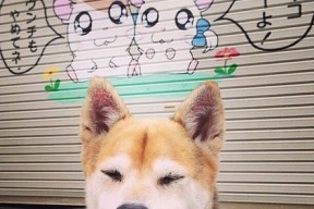 九游网-中超联赛中国足球爆冷 球迷呼吁加强战术，足球,中超