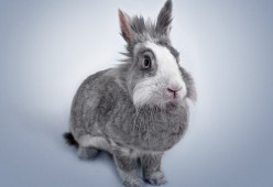 九游电脑版-中超俱乐部投入产出比趋势图，中超俱乐部经营情况