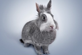 九游电脑版-中超俱乐部投入产出比趋势图，中超俱乐部经营情况