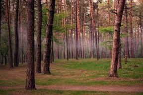 九游娱乐官网 (JIUYOU)-东契奇开场连得十分帮助独行侠建立优势，东契奇46分独行侠轻取鹈鹕