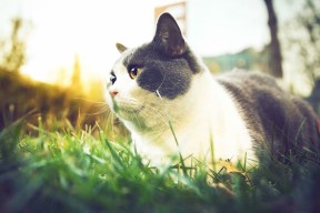 九游游戏中心-中国男篮引入数据支持提升训练精准度，中国男篮训练视频录像