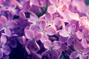 -篮球运动员比赛策略动态调整技术，篮球比赛角色