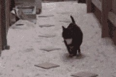 九游网游官网-乌拉圭女篮在南美锦标赛中持续强势，逐步迈向世界冠军，乌拉圭南美区预选赛