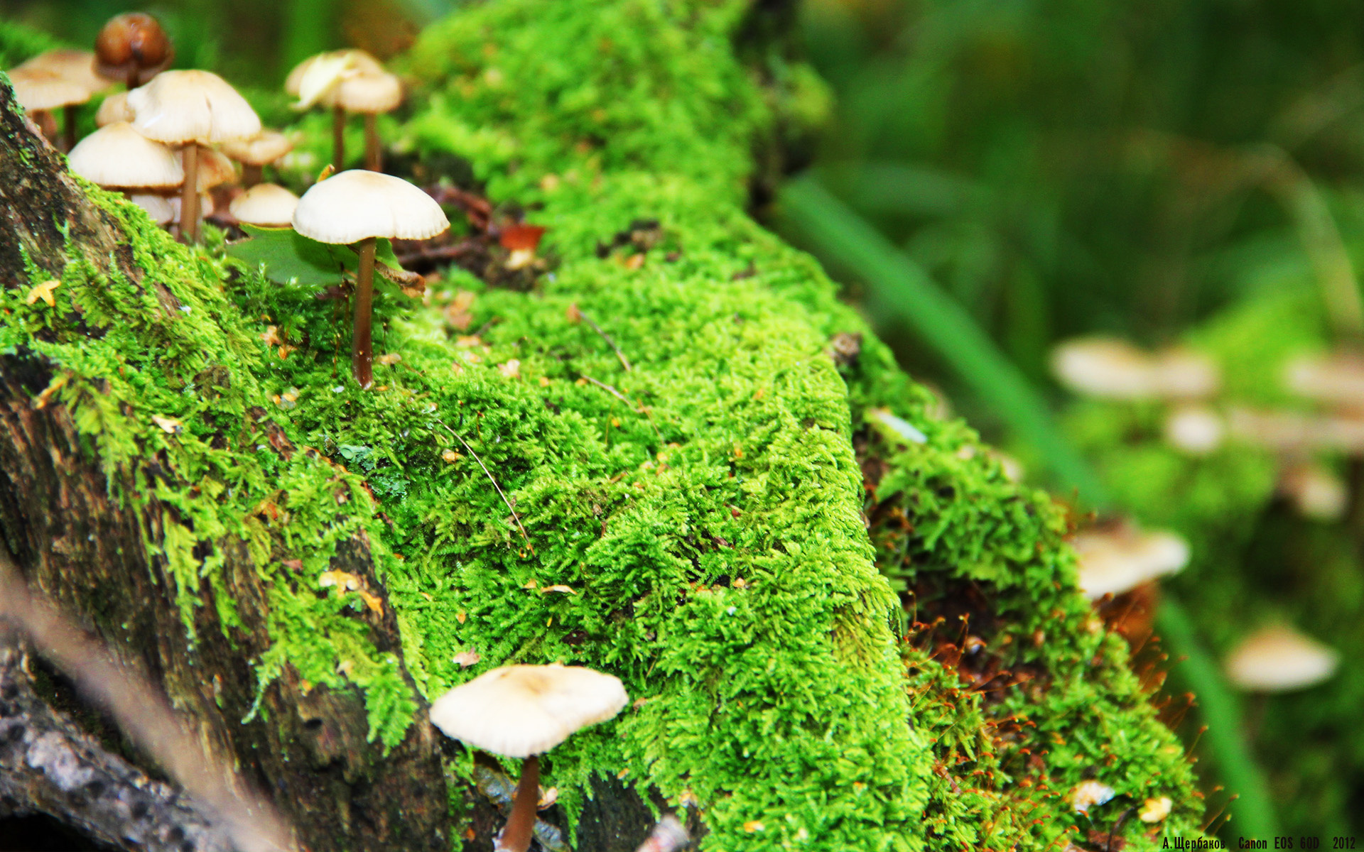 中超俱乐部赛季运营数据整理,中超球队数据