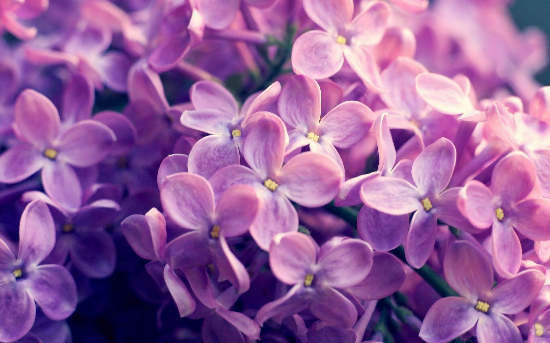 体育赛事品牌推广活动策划,体育赛事品牌推广活动策划怎么写