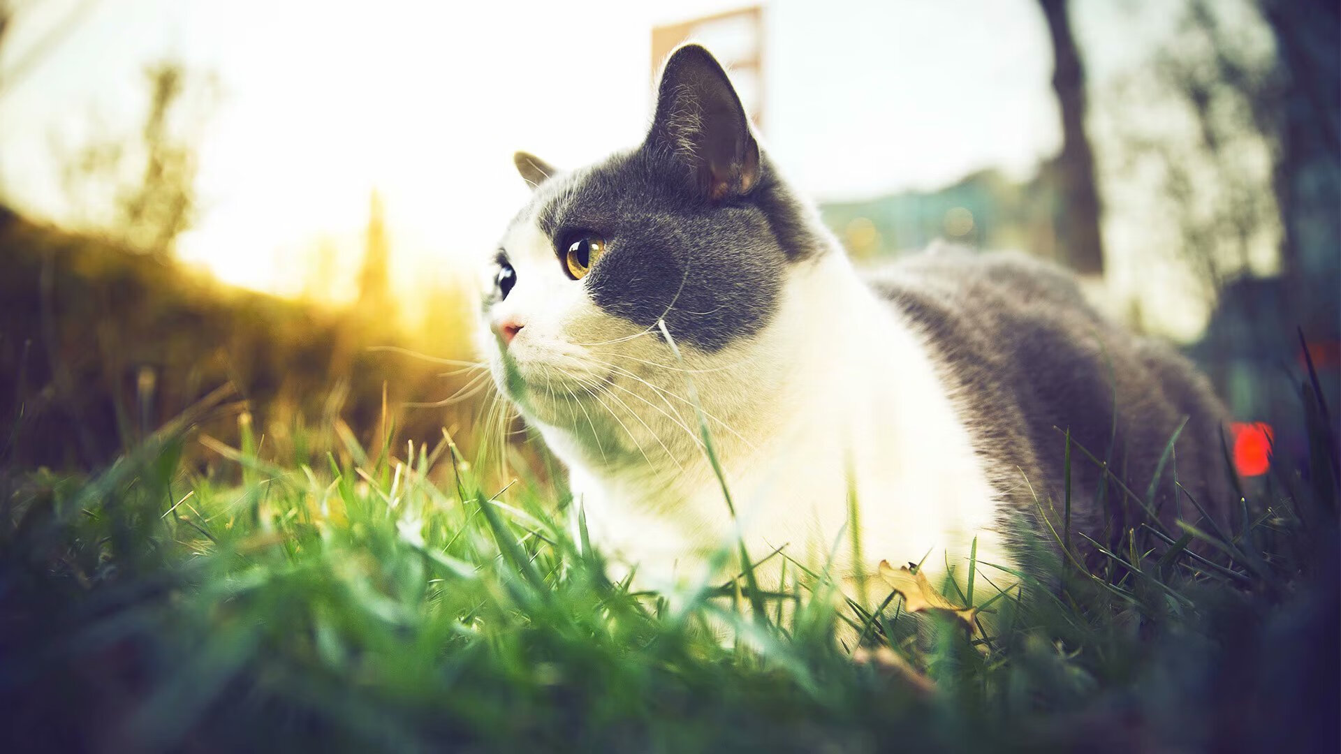 中国男篮引入数据支持提升训练精准度，中国男篮训练视频录像