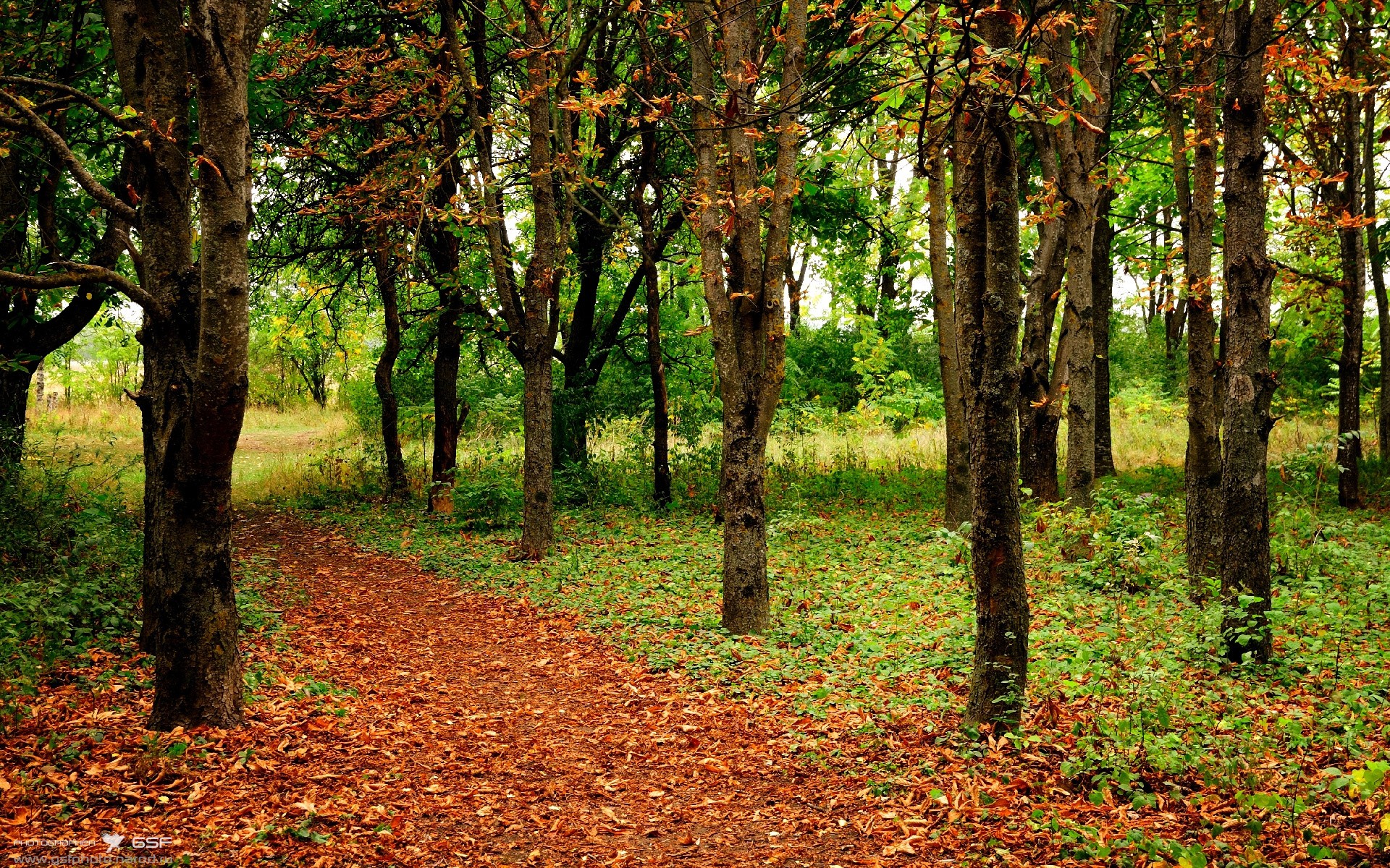 中国男篮迎来新赛季首场热身赛 展现良好状态，中国男篮热身赛时间