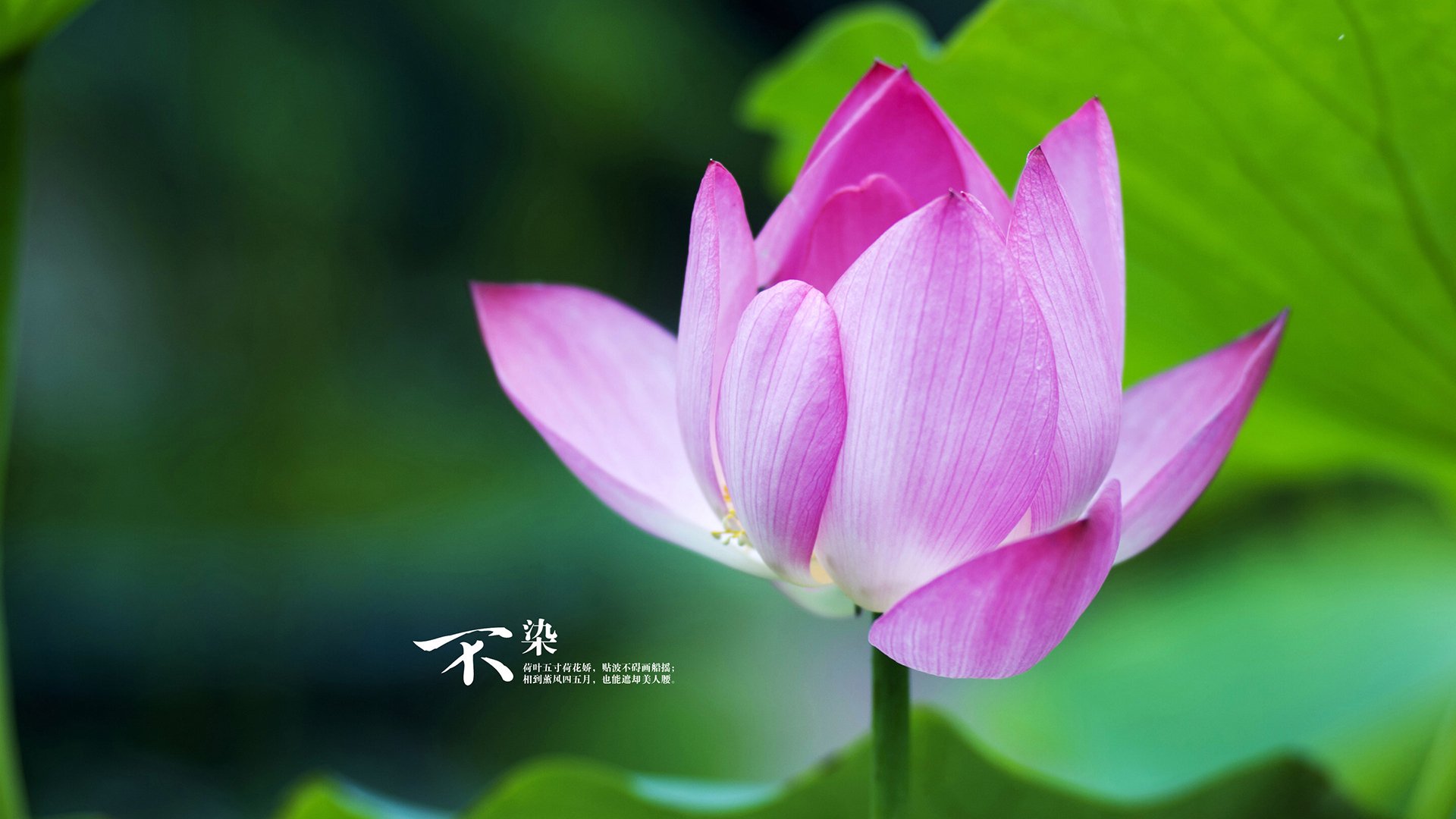 中小学体育教师专项培训提升教学质量，中小学体育教师队伍建设