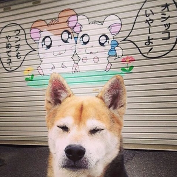 中超联赛中国足球爆冷 球迷呼吁加强战术,足球,中超