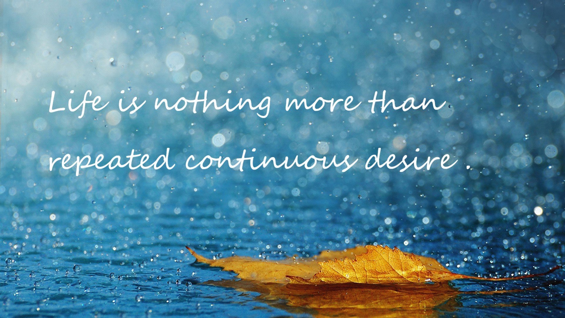 “埃尔斯·霍斯特成为南非橄榄球队的防守标杆”