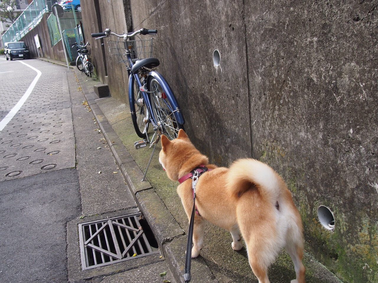 世界杯激情大爆发:每场都精彩无限!,世界杯激情歌曲