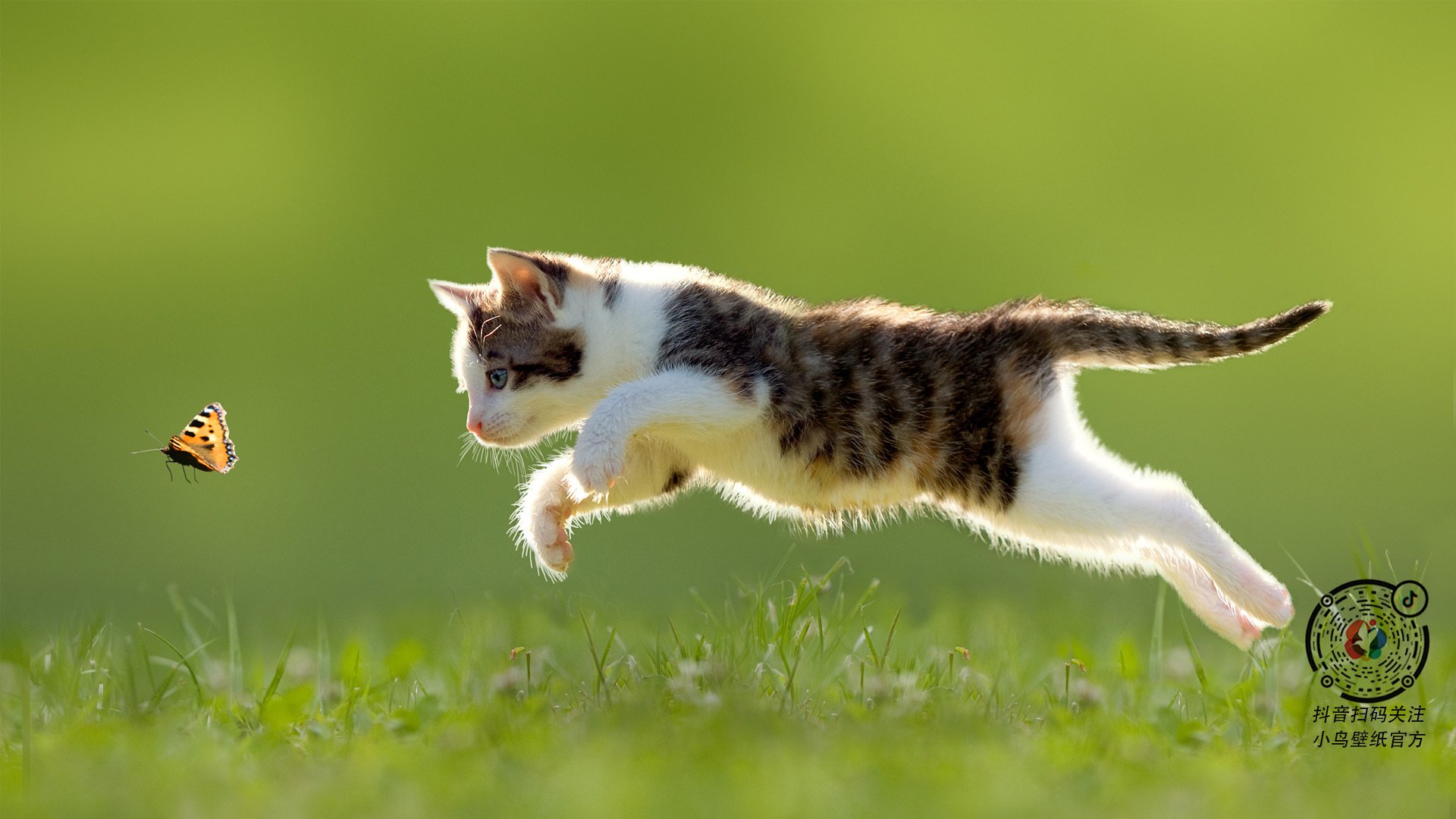 中国足球投资热潮回落引导资本回归理性轨道,中国在足球上的投入