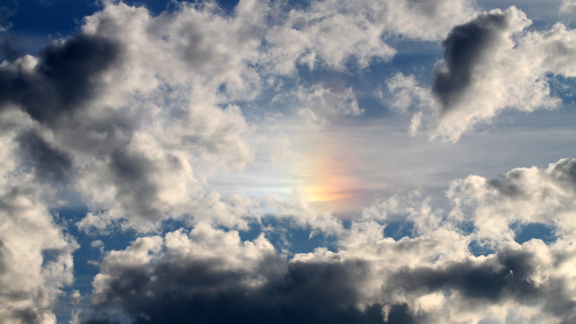 体育新闻中心通报运动装备自主品牌孵化支持计划,运动装备市场