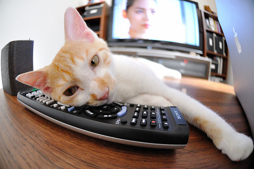 塞维利亚稳居西甲前列,争夺欧洲赛场席位