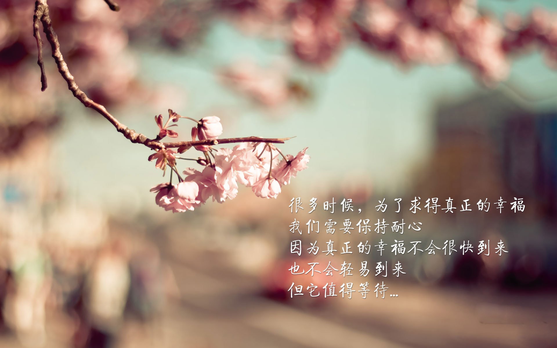 柯洁率队晋级四强围棋名人赛,柯洁率队晋级四强围棋名人赛