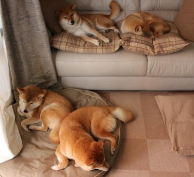 赛后教练组给予高度评价称赞球员保持战术纪律与执行能力，教练在赛后分析